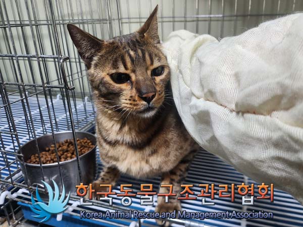 한국동물구조관리협회_411315202400228